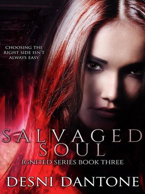 cover image of Salvaged Soul